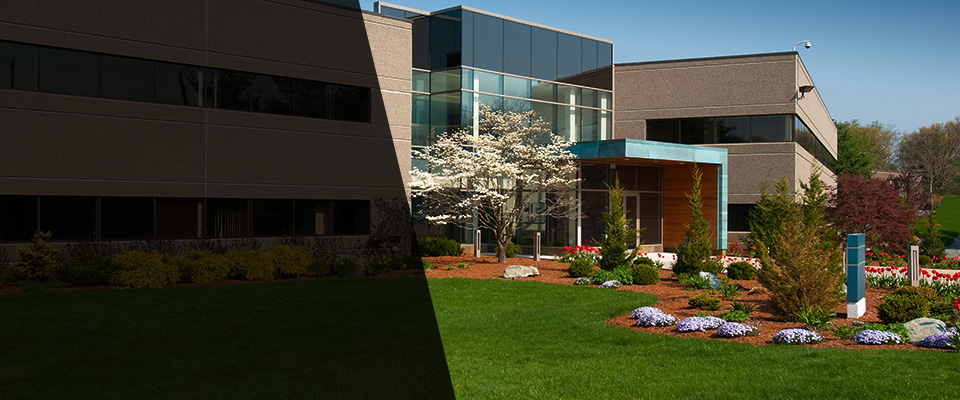 Winlock Landscapers