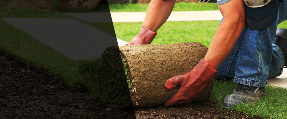 Winlock Landscapers